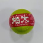 栃木フィギュア