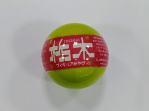 栃木フィギュア